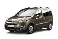 cat-berlingo