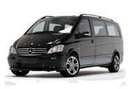 cat-viano