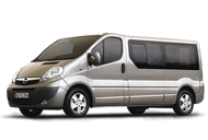 cat-vivaro